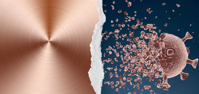 Copper Destroys Viruses and Bacteria. Why Isn’t It Everywhere?